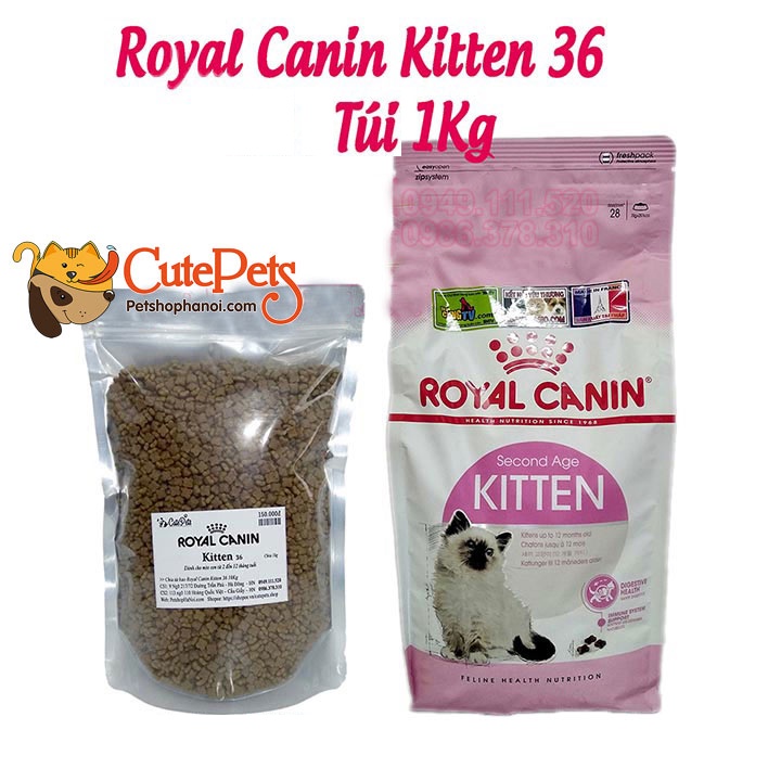 Thức ăn cho mèo con Royal Canin Kitten 36 1kg Hạt cho mèo cao cấp từ Pháp - Phụ kiện thú cưng