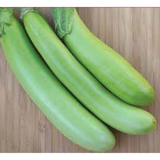 Hạt giống Cà xanh lai quả dài