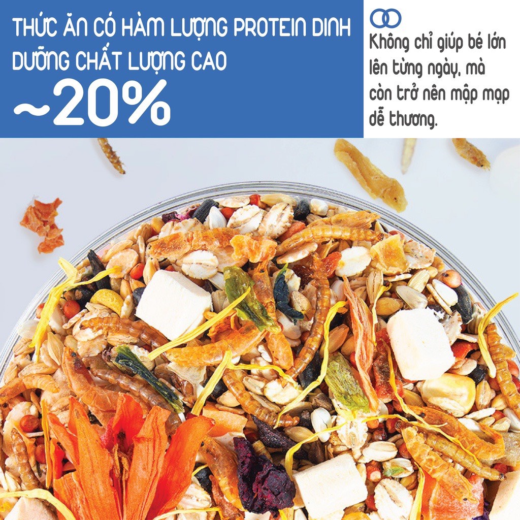 Thức ăn hạt trộn cho Hamster giàu protein dành cho mọi lứa tuổi thương hiệu JONSANTY CST111 gói 900gr- 2LB