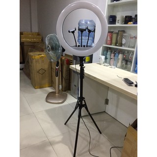 Đèn led livestream rl-18 45cm