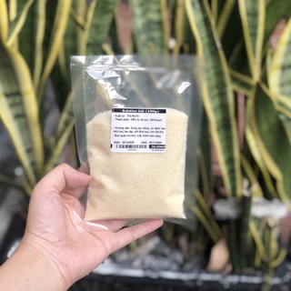   Gelatine bột (100g)