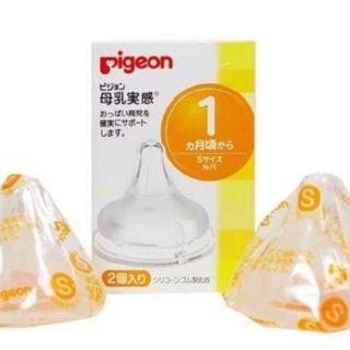 Núm ti pigeon nội địa nhật