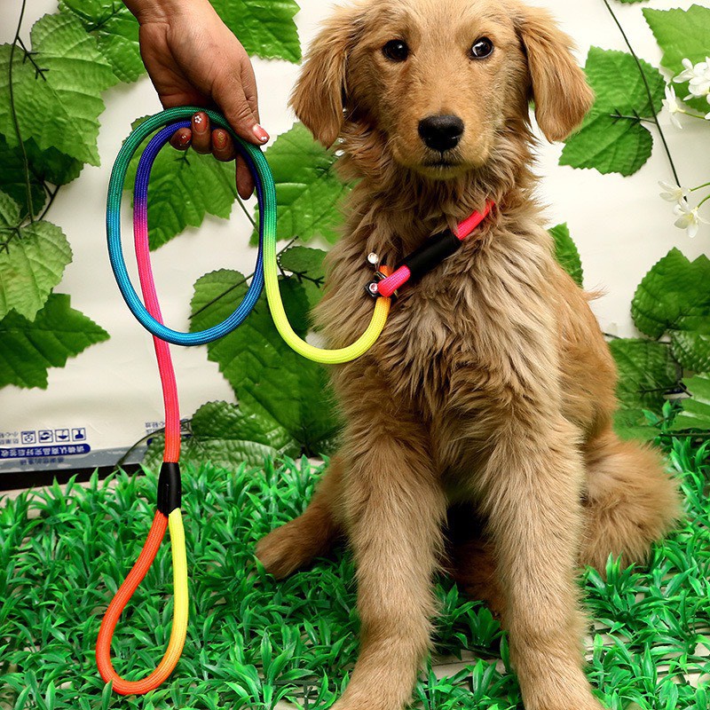 Dây dắt thú cưng cầu vồng nhiều màu sắc có thể điều chỉnh mọi kích cỡ