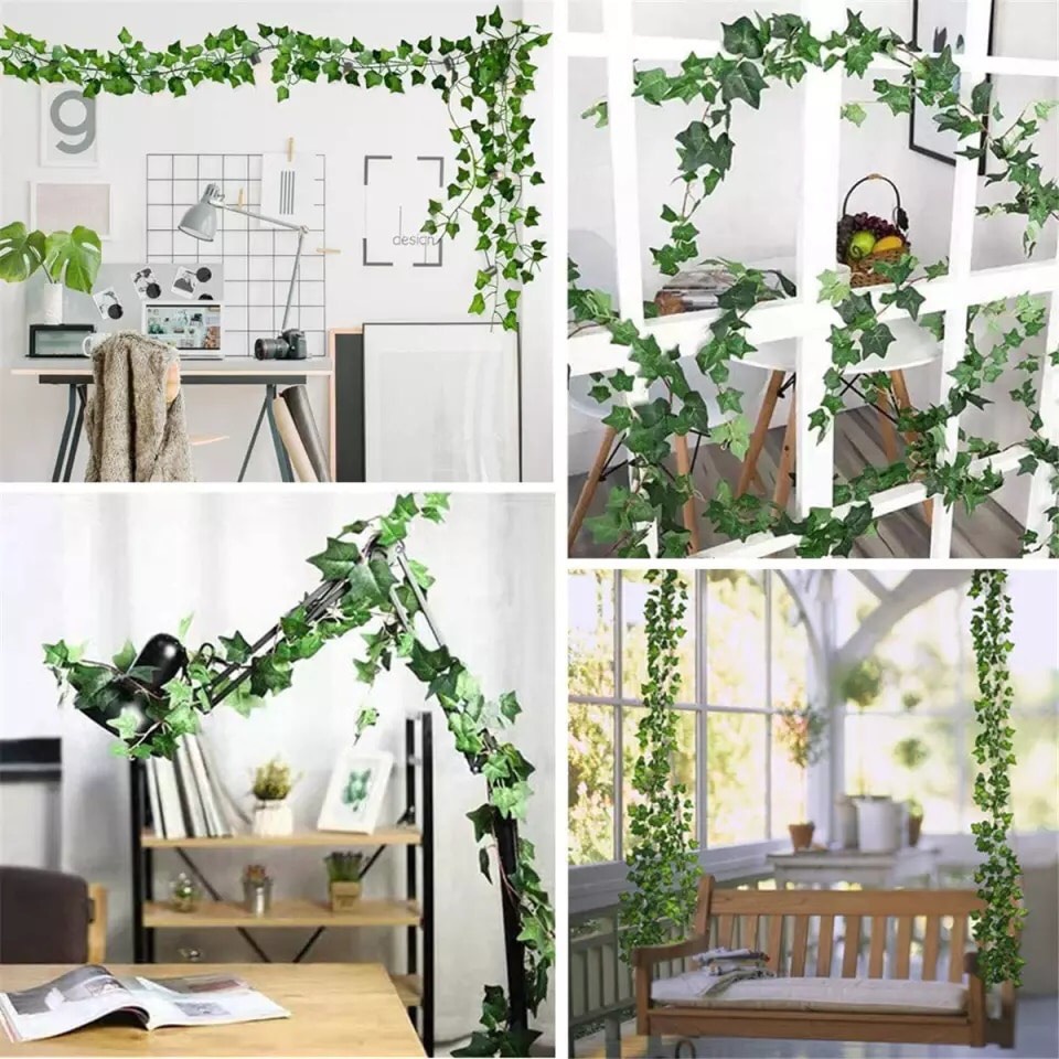 Dây lá thường xuân, trầu bà giả dài 2m3 trang trí tường, trần, ban công nhà cửa, công ty, lớp học, sự kiện