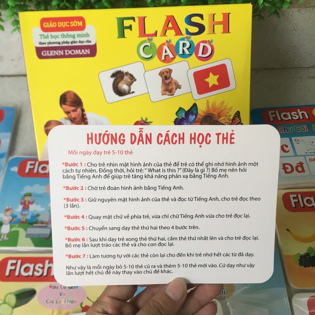 Thẻ học thông minh Glenn Doman song ngữ Anh Việt cho bé 15 chủ đề flashcard khổ A5