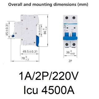 Át tép Atomat Aptomat MCB Áp tép cầu dao eB-63 Icu 4500A Chint 2P 220V