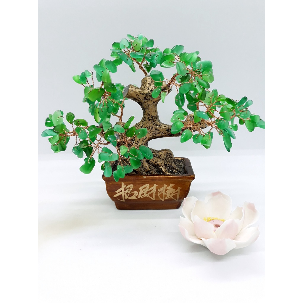 💥 GIÁ CỰC RẺ 💥 Cây đá phong thuỷ Ngũ Sắc