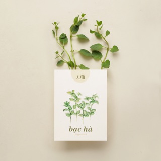 Hạt giống non-GMO - Bạc Hà | non-GMO seed Mint