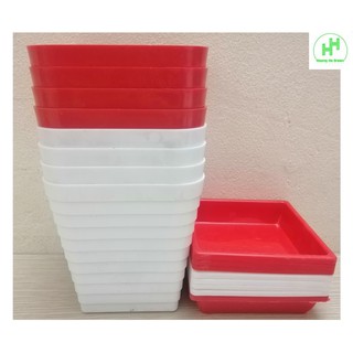 Combo 10 chậu nhựa trồng cây mini có đế đỡ kích thước 12x12x12cm