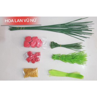 COMBO 10 BỘ NGUYÊN LIỆU HOA LAN