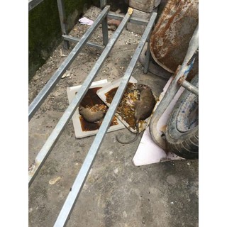 ,./Bẫy dính chuột siêu dính