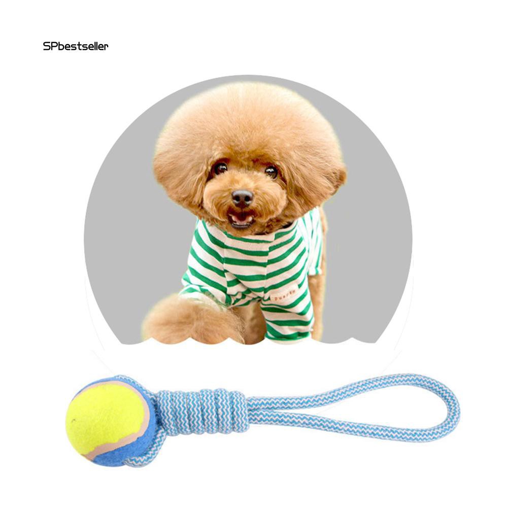 Dây bóng tennis đồ chơi cho cún cưng