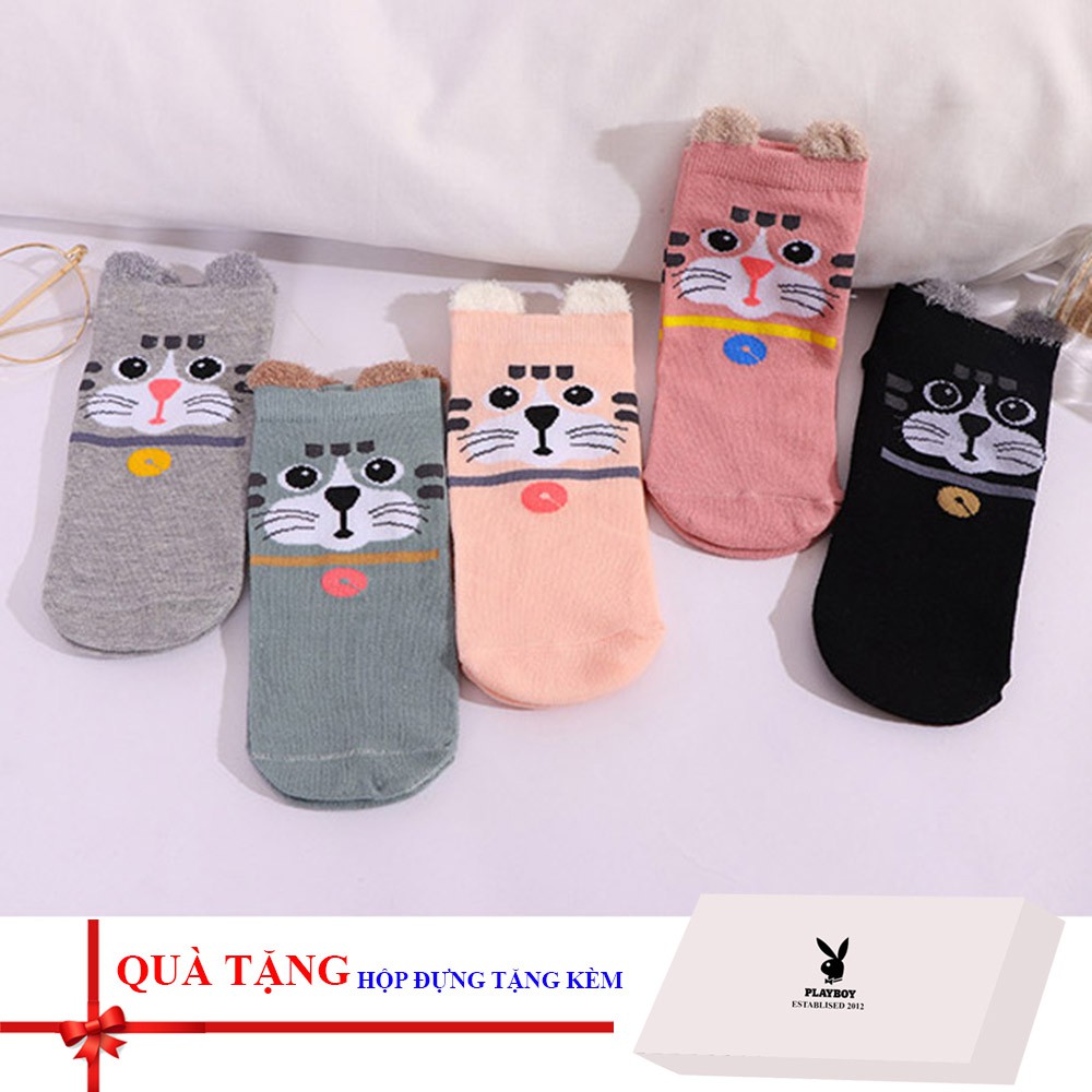 Combo 05 đôi tất / vớ nữ cao cấp có kèm hộp đựng (Loại 1)