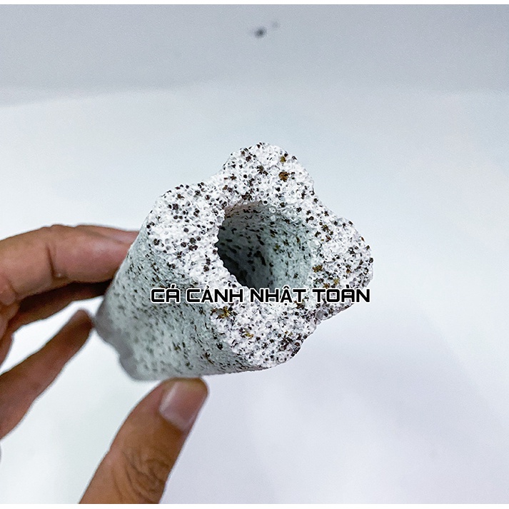 SỨ THANH MÈ MUỐI TIÊU BACTERIA HOUSE VẬT LIỆU LỌC CHO BỂ CÁ CẢNH