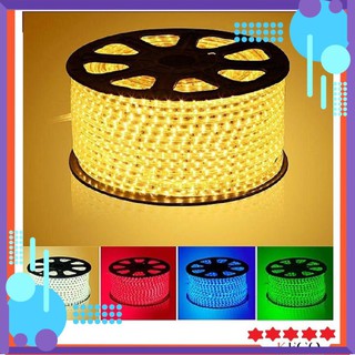 Đèn LED dây trang trí, hắt trần loại 2 mắt 1 hàng, dây đồng, cạnh bọc silicon chống ẩm tuyệt đối (giá cho 1m dây)
