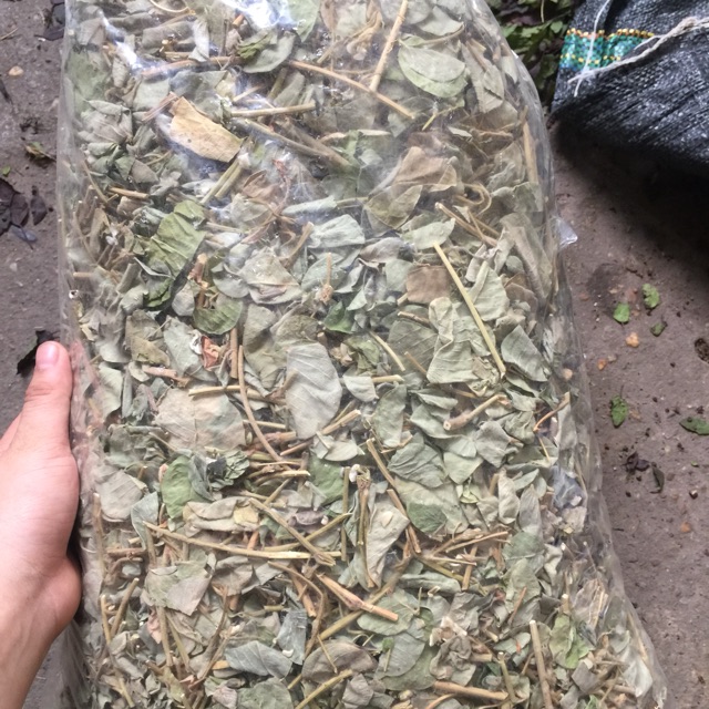 Kim Tiền Thảo(1kg)