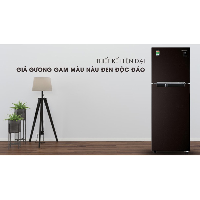 Tủ lạnh Samsung Inverter 236 lít RT22M4032BU/SV NÂU