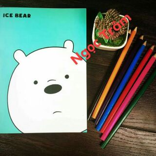 Combo 10 sổ panda