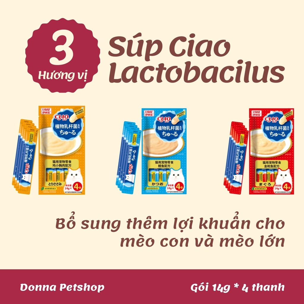 SÚP THƯỞNG CIAO LACTOBACILUS CHO MÈO BỔ SUNG LỢI KHUẨN 14g*4thanh