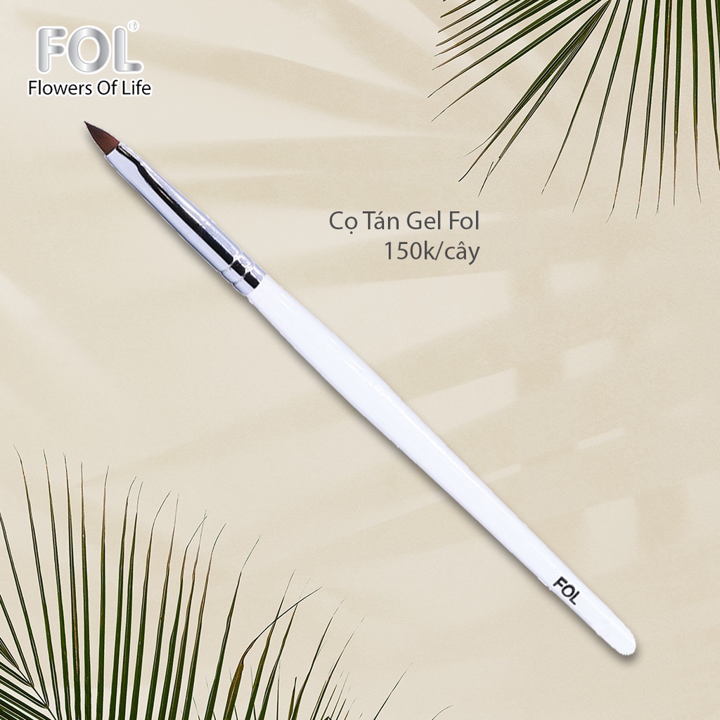 Cọ Tán Gel Fol