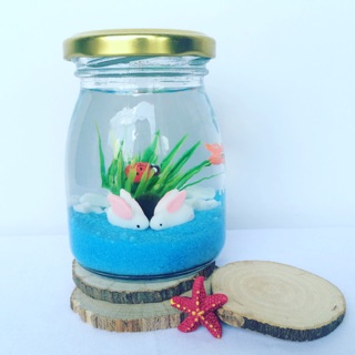 Set Marimo couple thỏ