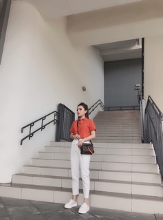 Áo phông bbr cổ sen phối viền