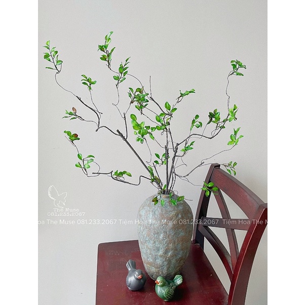 Dã Mai Diệp - Mô Phỏng Bách Tháp Săc Thu- Cành Lá Decor - Chất Liệu Cao Cấp