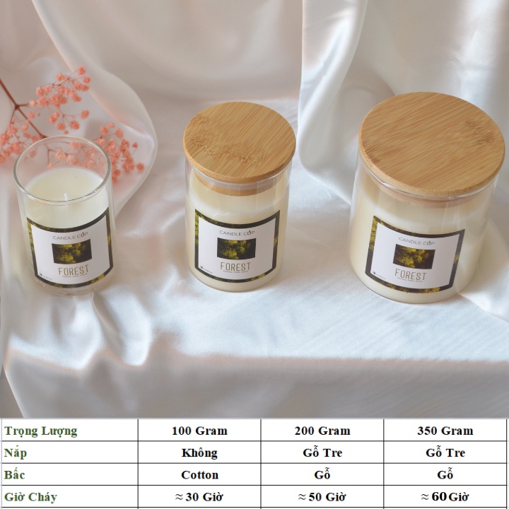 Nến Thơm không khói AGAYA Candle Cup - Mùi FOREST
