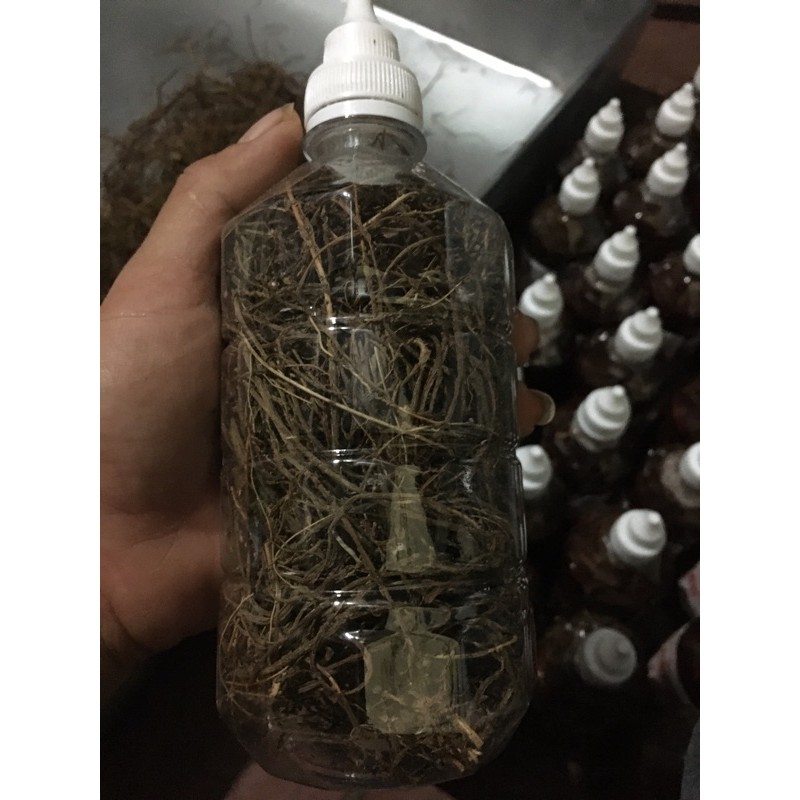 Lọ 500ml rễ bạch hạc khô và ngâm sẵn