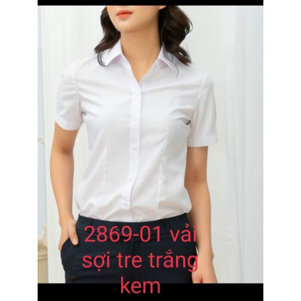 áo sơ mi Thái Hòa mã 8919 và 2869-01 vải sợi tretay ngắn.