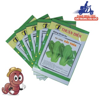 [HẠT GIỐNG CẢI THÌA] chất lượng hạt giống nảy mầm cao.