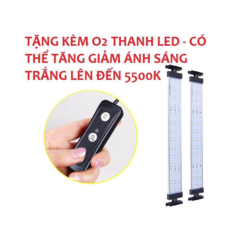 Hộp chụp ảnh sản phẩm kích ánh sáng cao cấp TIANRUI - Tặng 2 đèn LED + 4 Phông nền