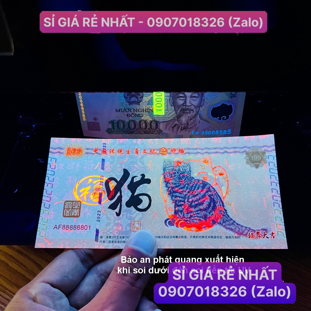 [Số Đẹp - Combo 10 Tờ, có FULL 8] Tiền lì xì may mắn hình con Mèo Trung Quốc 2023 , kèm bao lì xì