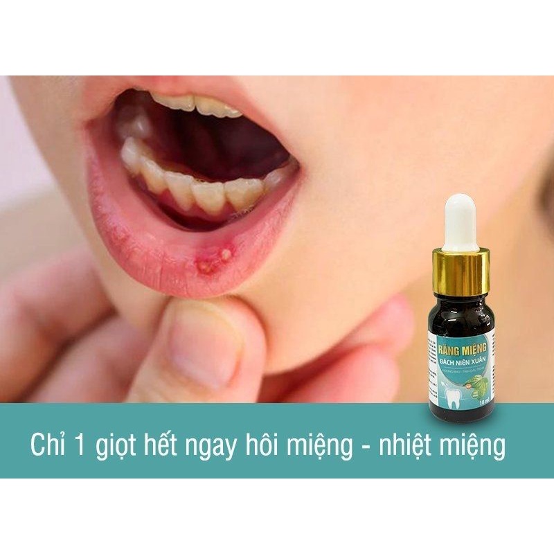 Tinh dầu răng miệng Bách Niên Xuân, chiết xuất từ thảo mộc  hết nhiệt miệng, hôi miệng