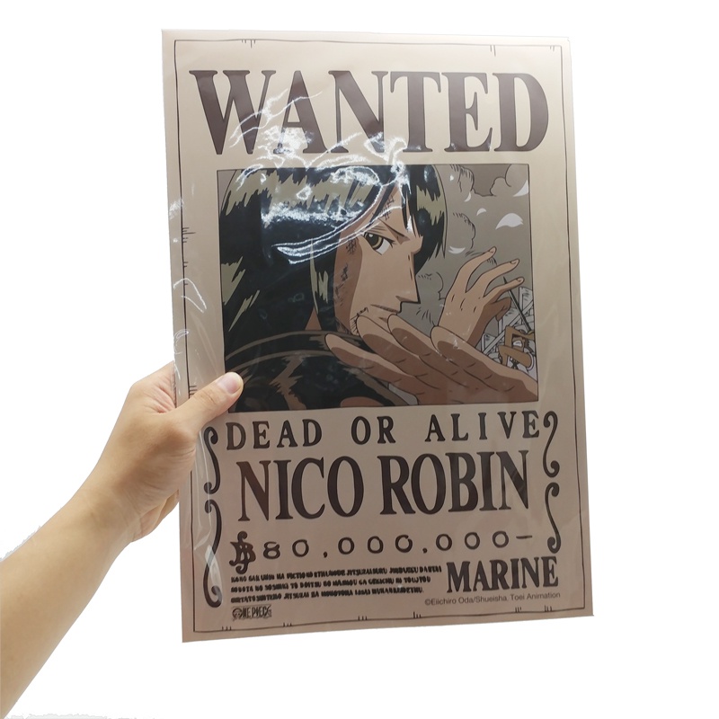 Poster One Piece - Lệnh Truy Nã Robin - TeenBox