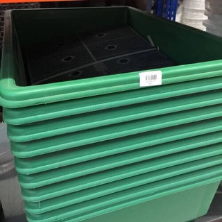 Combo 5 Khay trồng rau thông minh 65cm (kích thước 65 x 43 x 16cm)