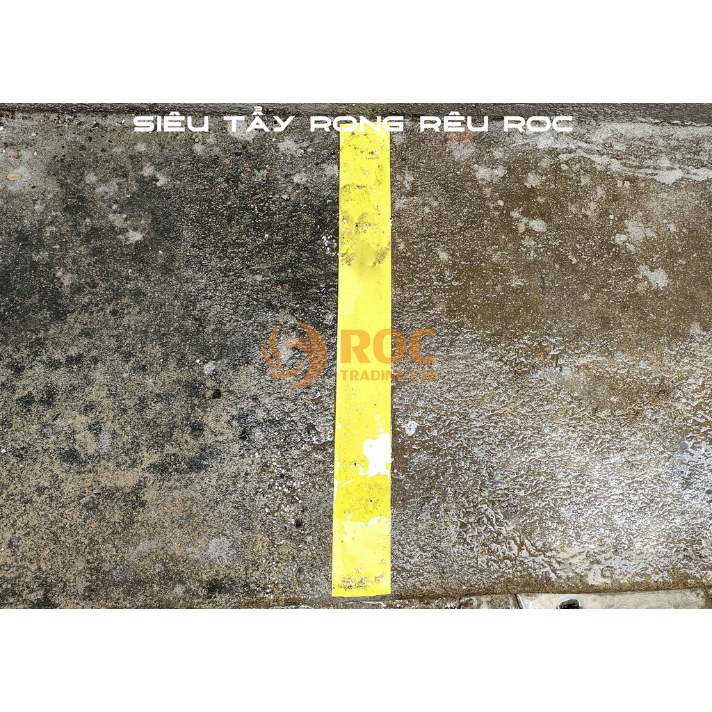 Mua Bột tẩy rong rêu trên nền xi măng ROCO - sạch trong một lần sử dụng ...