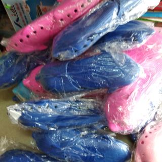 Combo 20 cá tiểu và 4 cá lớn