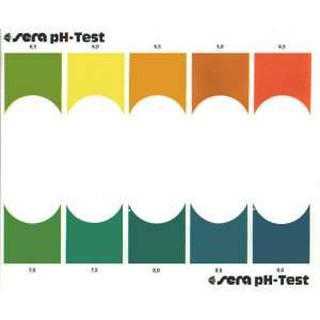 TEST PH SERA -Kiểm Tra Độ PH