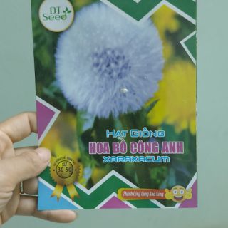 Hạt giống hoa Bồ Công Anh 30 hạt - Rau củ quả trồng tại vườn, sân thượng, nông trang, ban công