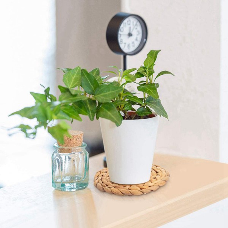 Bộ 6 Đế Lót Ly Bằng Cỏ Biển Handmade Bền Bỉ