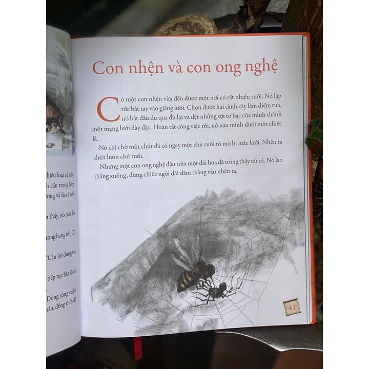 Sách Kim Đồng - Những Tuyệt Phẩm Ngụ Ngôn Leonardo Da Vinci (Bình Book)