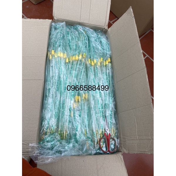 Que phối sâu đầu nhỏ hàng