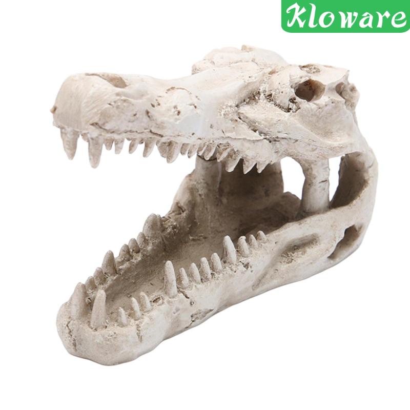 Tượng Cá Sấu Trốn Tìm Trong Bể Nuôi Bò Sát