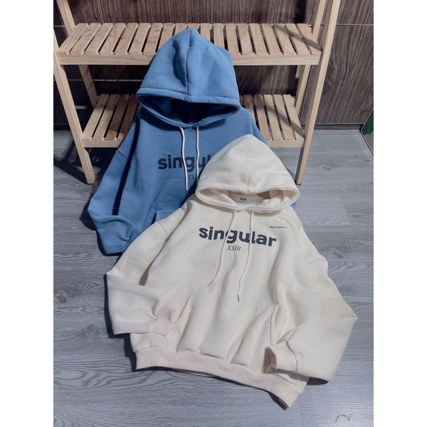 Áo nỉ hoodies mũ 2 lớp in chữ hàng đẹp