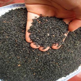Hạt mè đen 100g