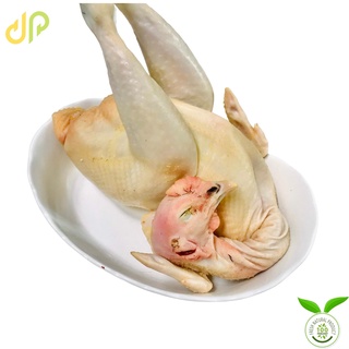 Gà ta mái đen nguyên con 1kg3 - 1kg5
