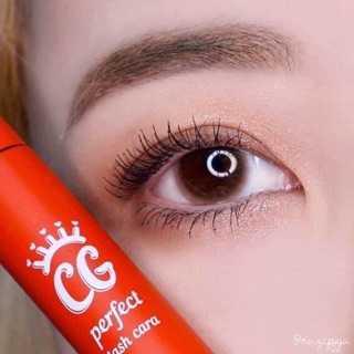 Mascara BLACK ROUGE CG PERFECT LASH CARA