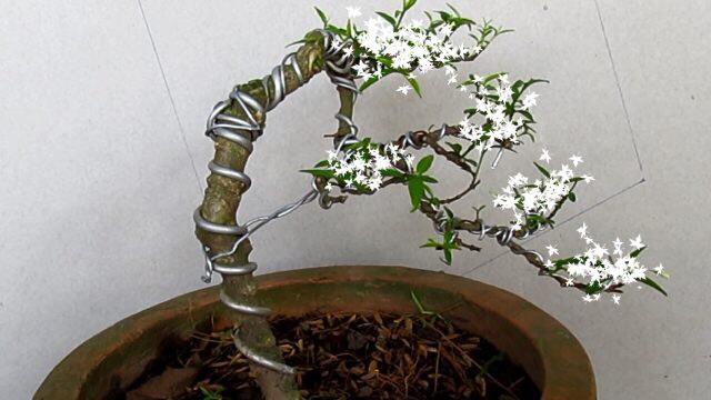 Dây nhôm trần quấn cây cảnh chuyên dùng uốn cây bonsai, cây cảnh 2ly - 3ly - 4ly