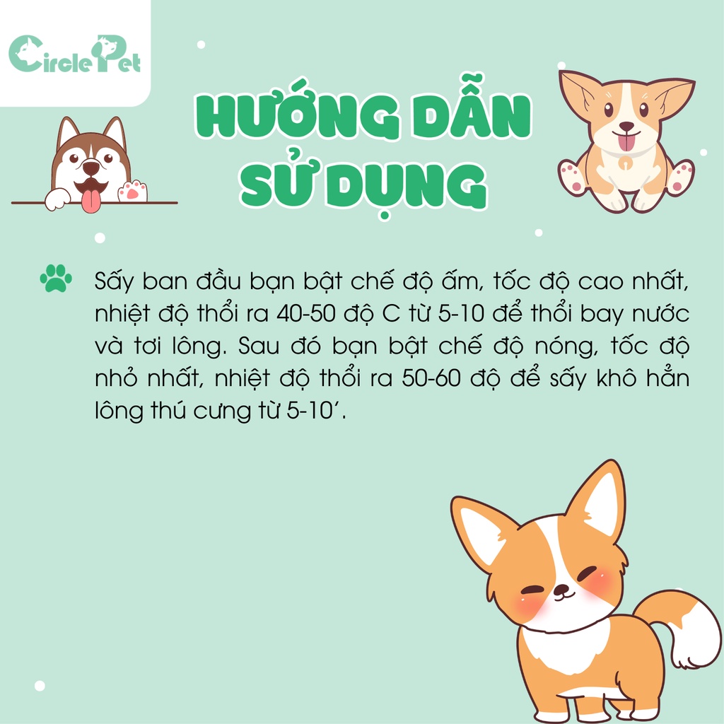 Máy Sấy Lông Aeolian Blaster TD-901GT Toex Grooming Chuyên Nghiệp Công Suất Lớn 2 Chế Độ Nóng Lạnh - Circle Pet